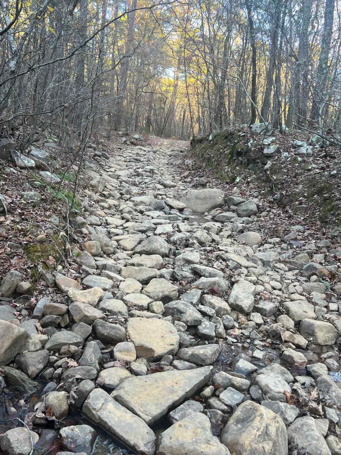 Lenox Trail