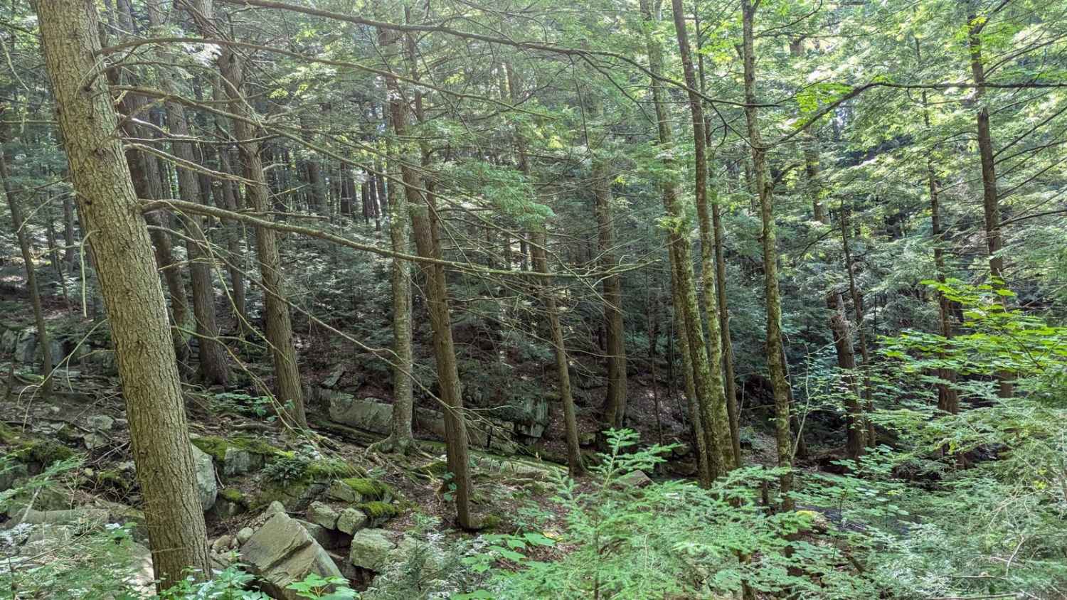 Old Rootville Road