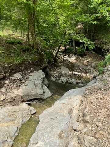 Jana's Trail