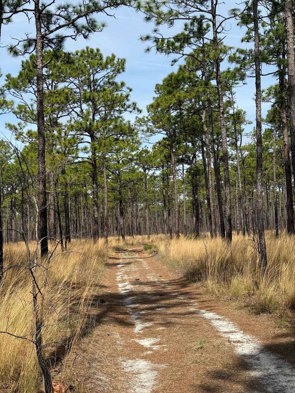 Pettiford Creek Trail 14