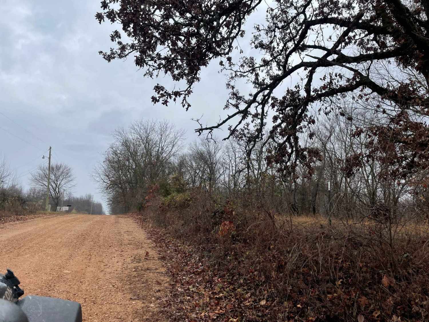 Ozark to Nettle