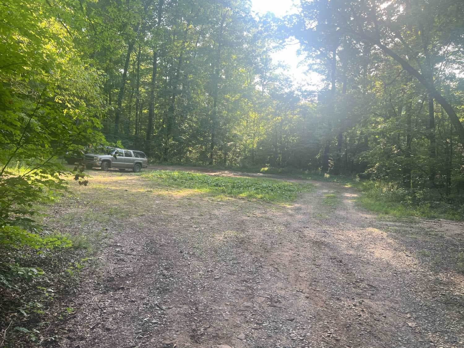 Dry Creek Branch  C - Forest Road 226C