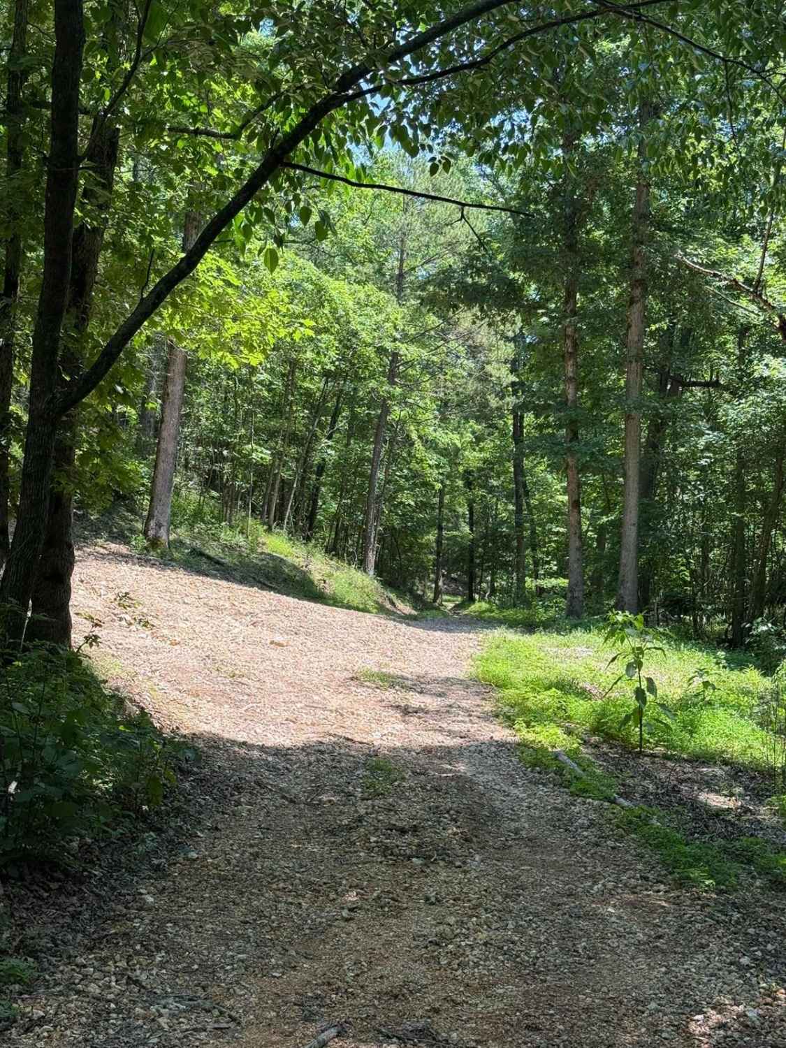 Gunnar's Trail