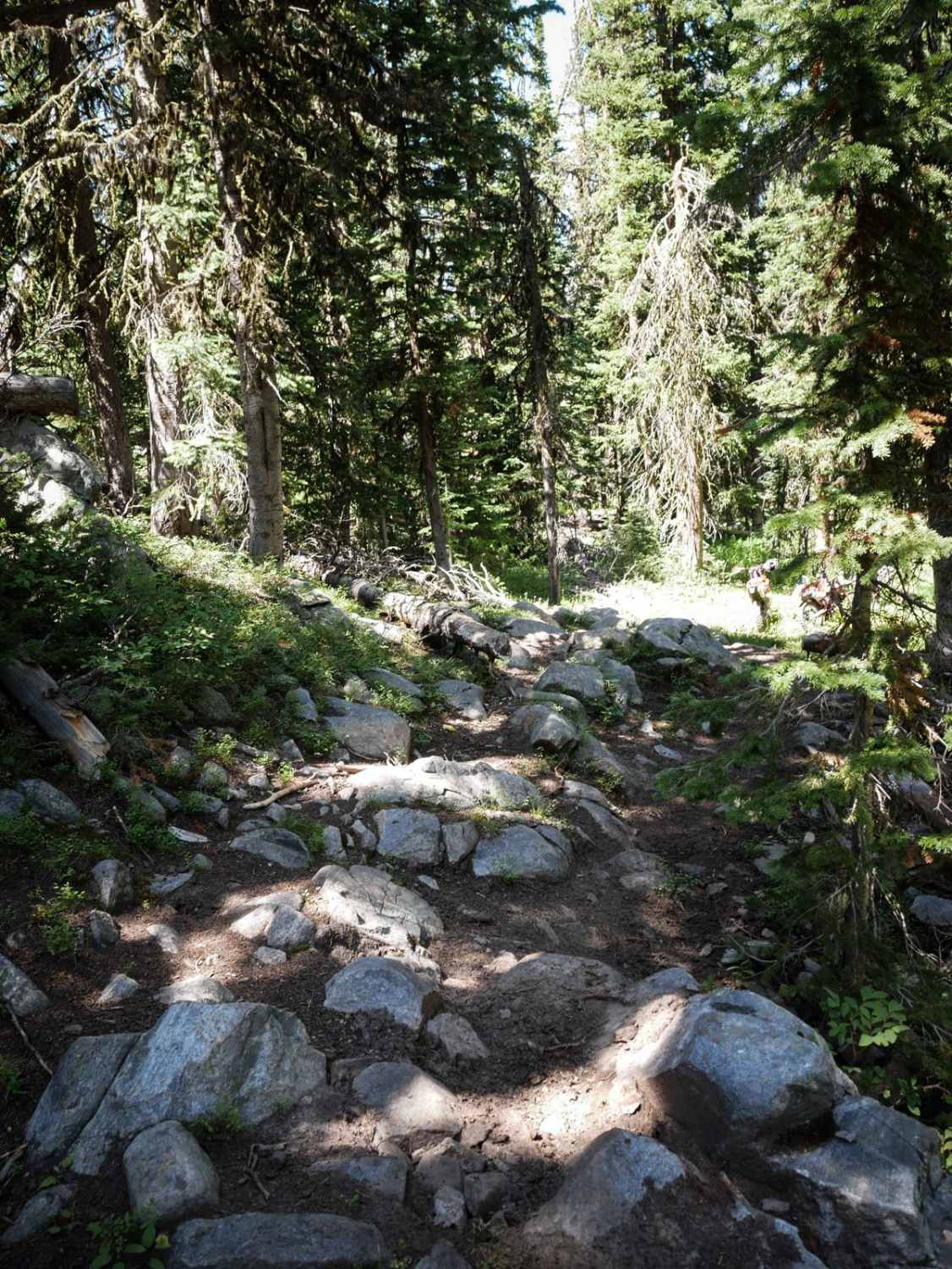 Hidden Lake Divide #66 