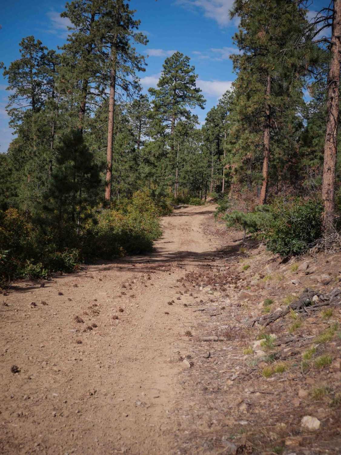 Arbogas Loop 