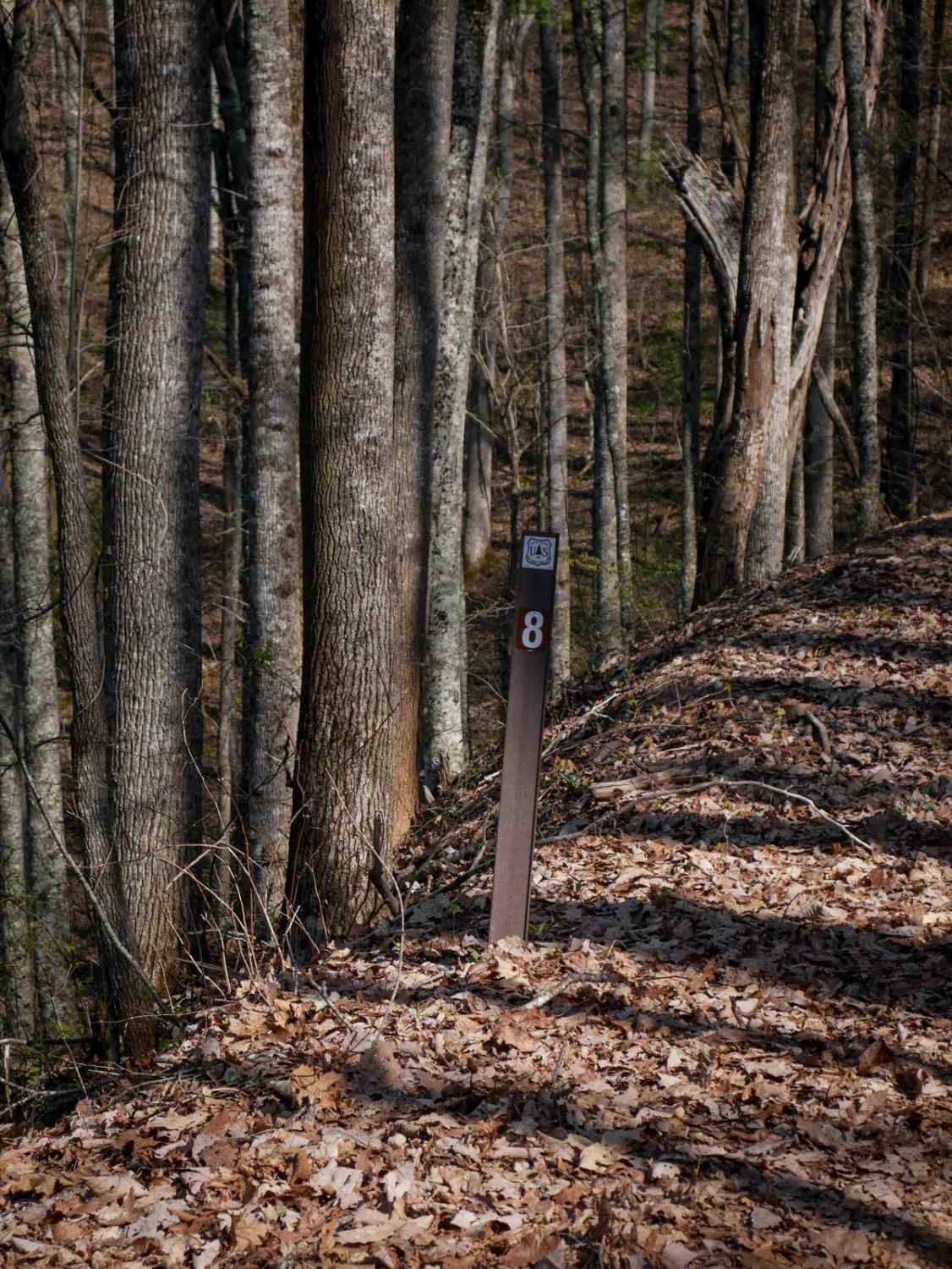 Sawmill Bottoms Trail 8