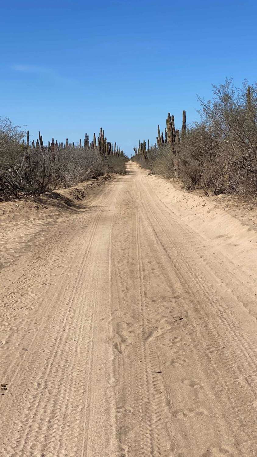 High Road Ejido Meliton