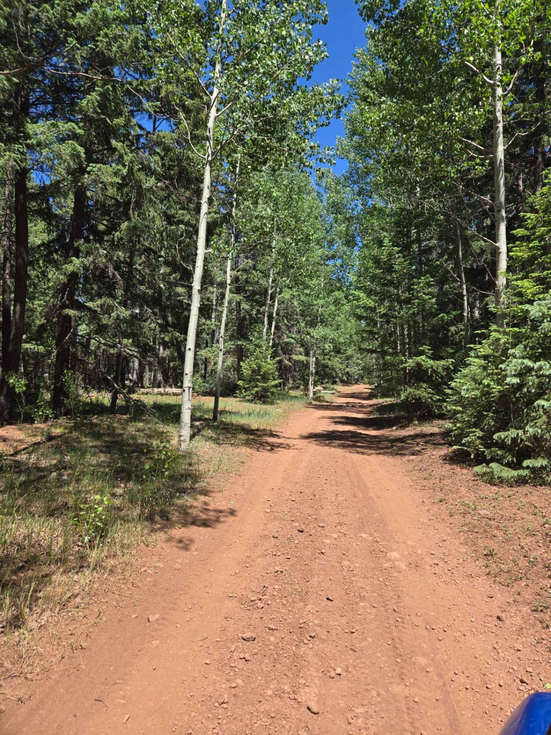 Carnero Springs Road 8556