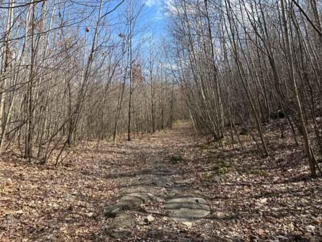 Ashland 109