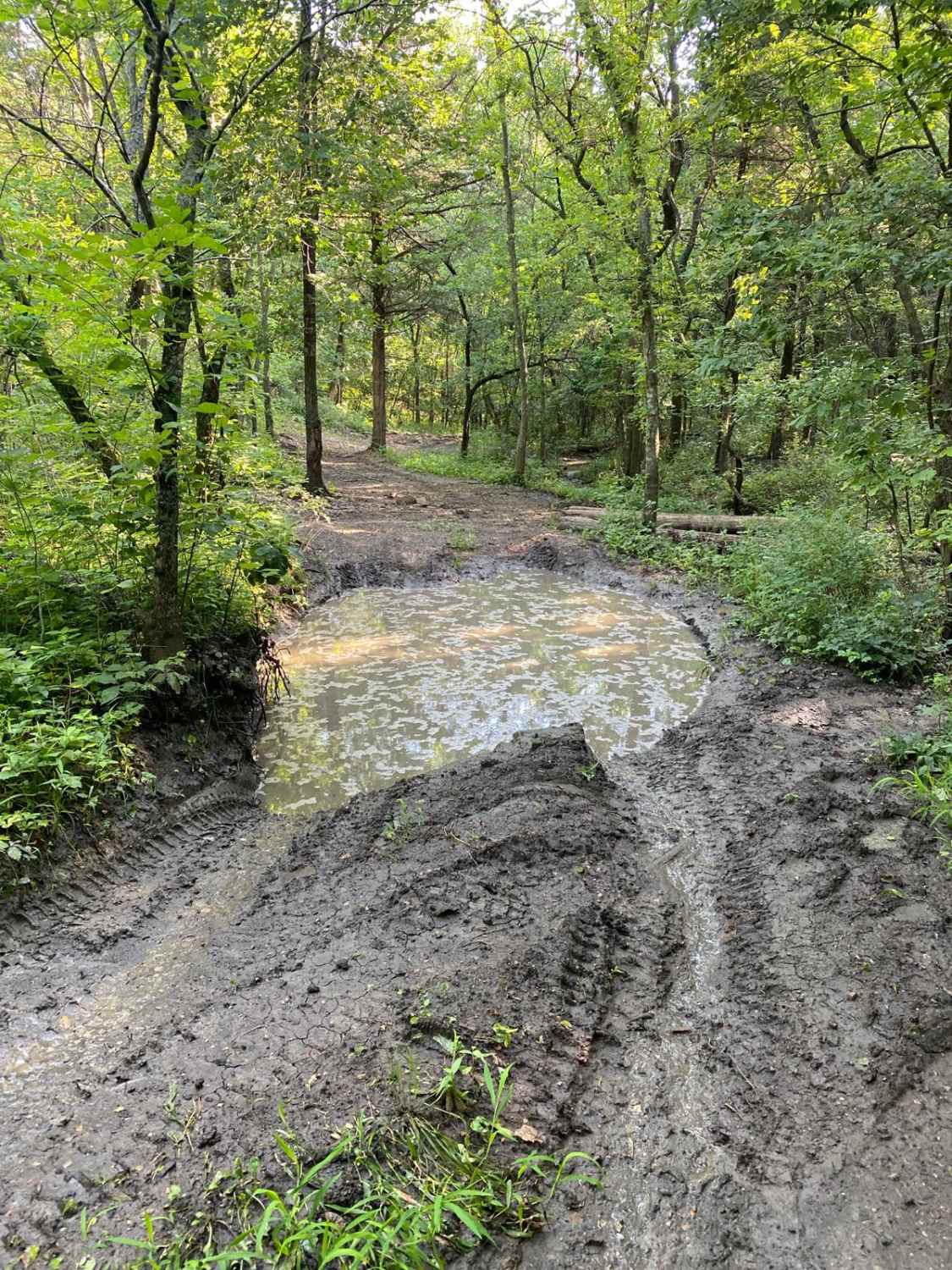 Grease Hill