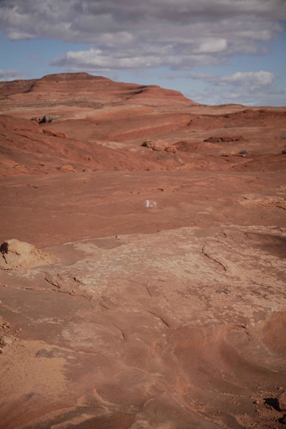 Red Rocks Trail 