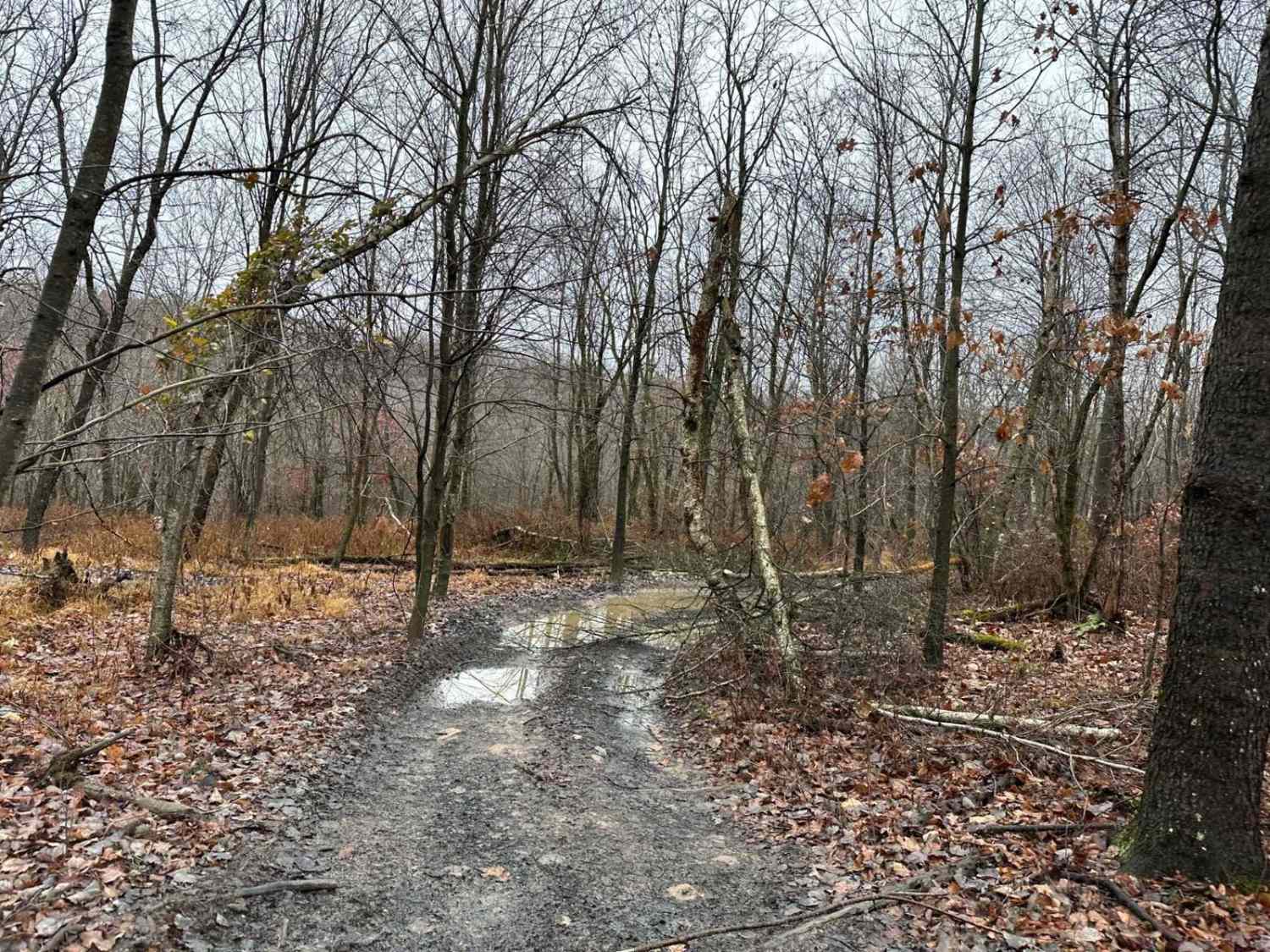 ATV Trail Pines Bypass