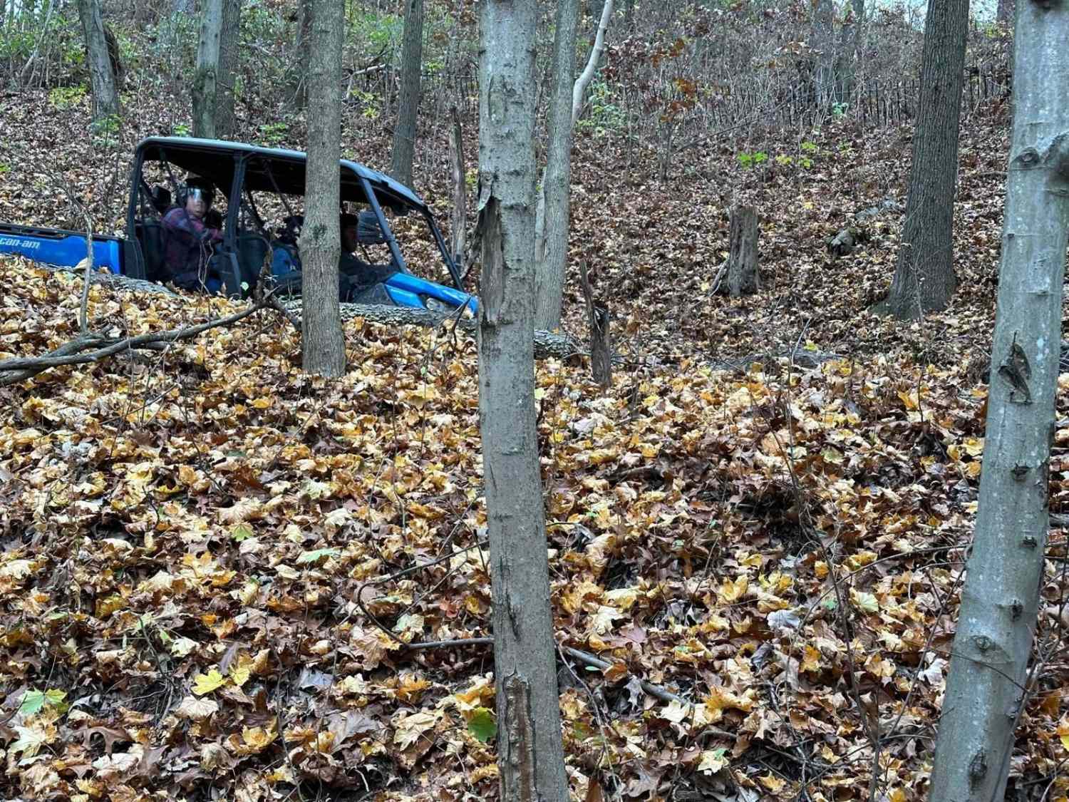 ATV Trail 3