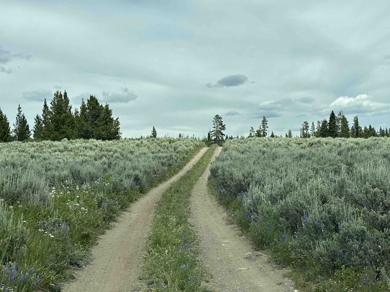 Baldy Mountain Lookout