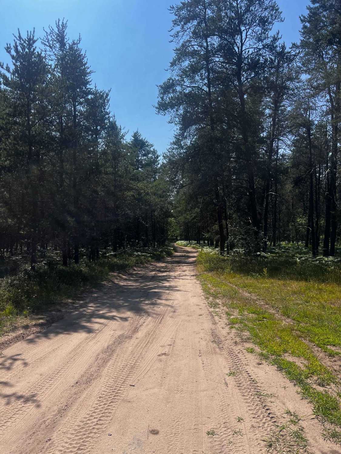 Twisty Weeble Wobble Camp Trail