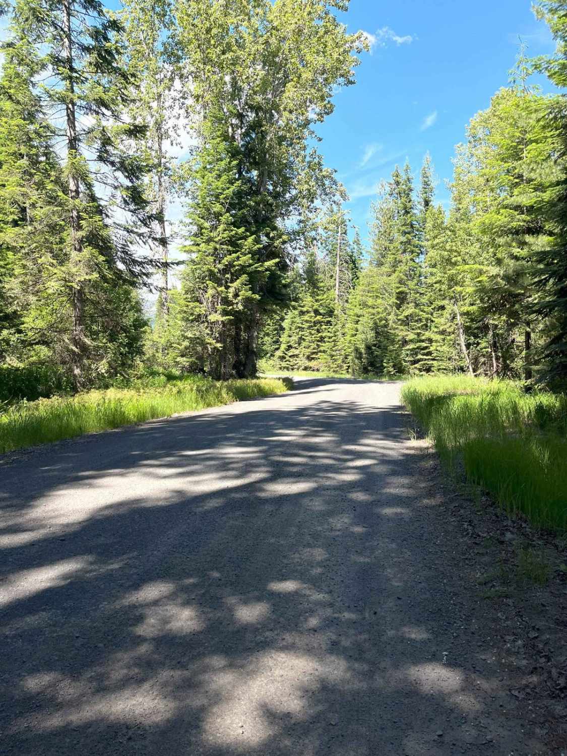 Elk Creek