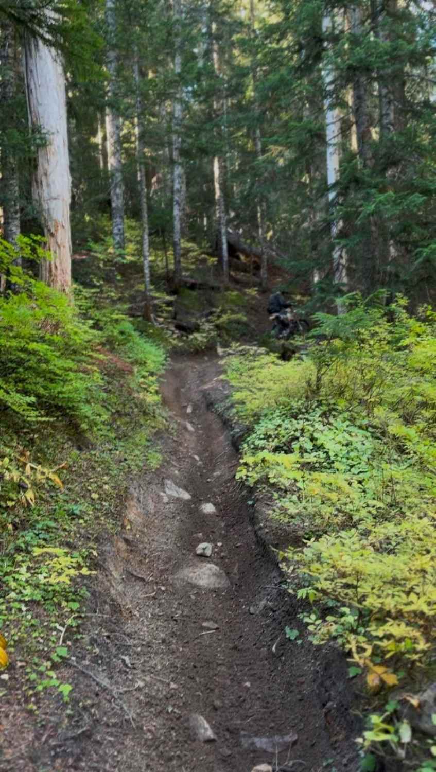 Yozoo Trail - #276