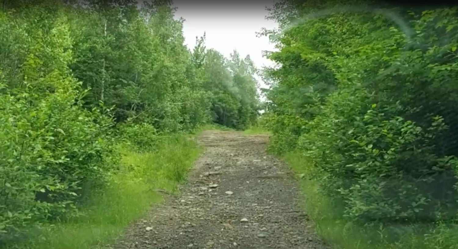 Maclean Settlement Road