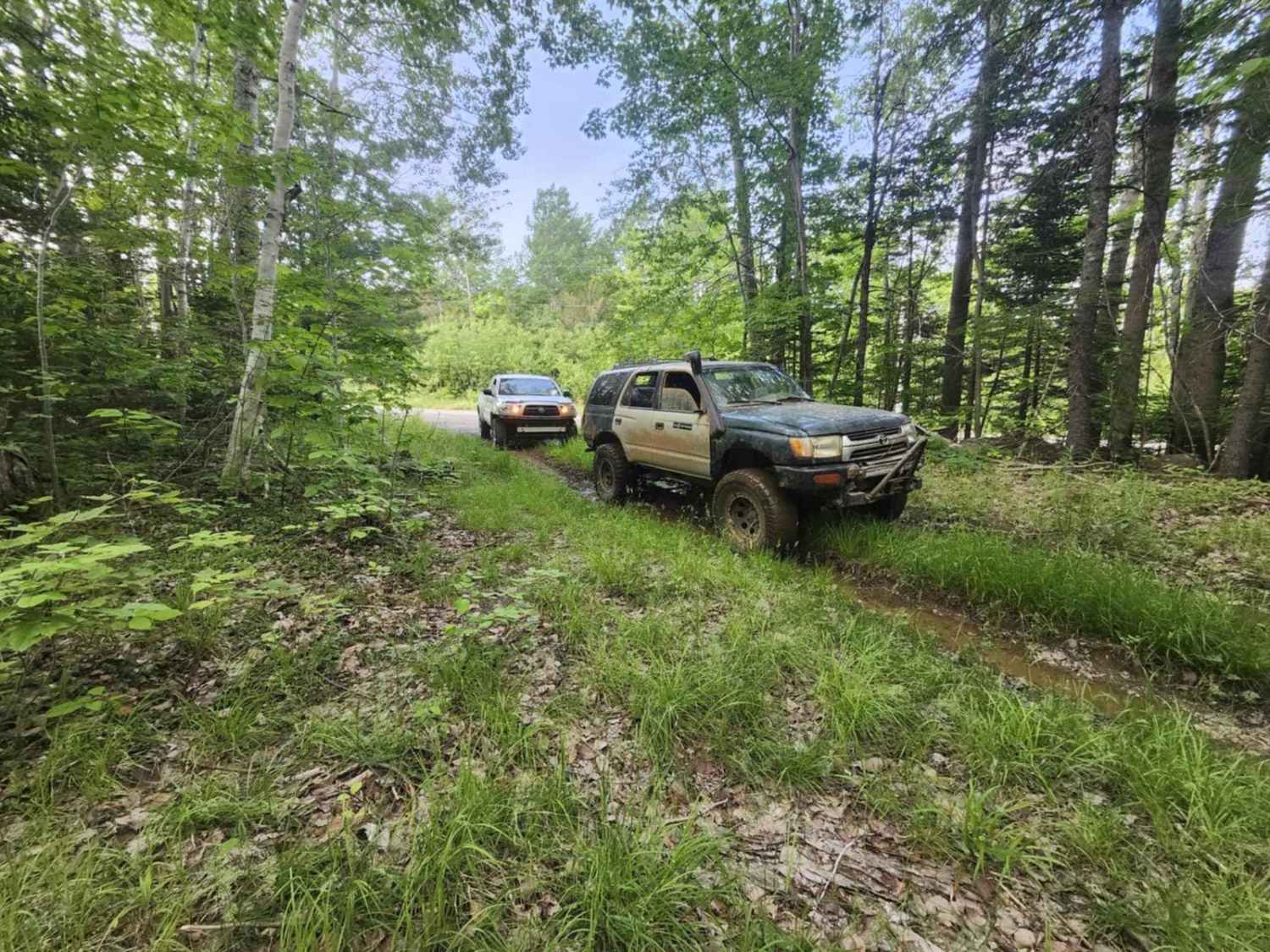 Black River to Menthols Dam
