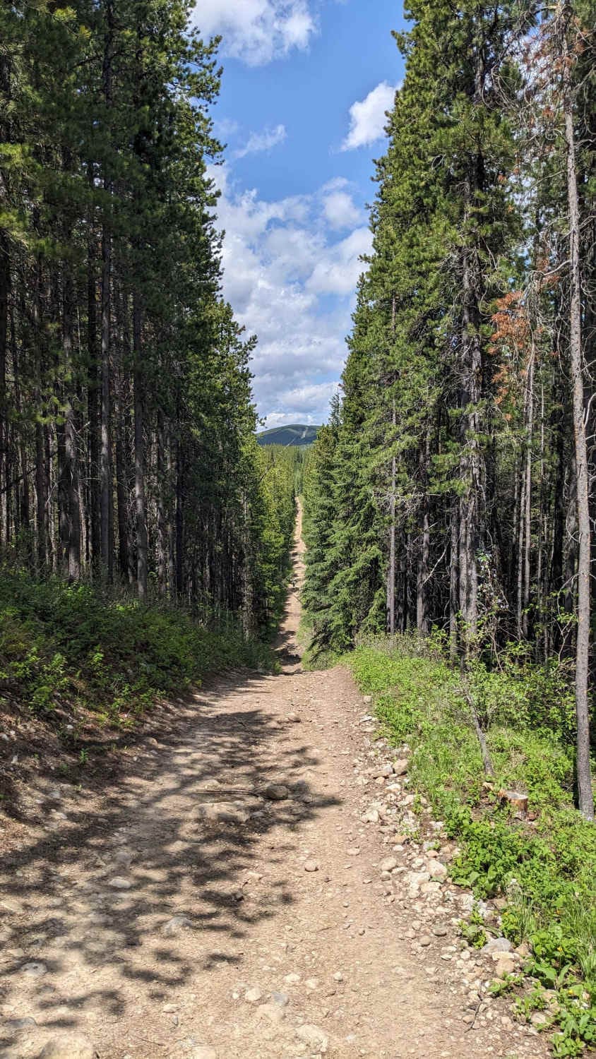 Allison creek Trail