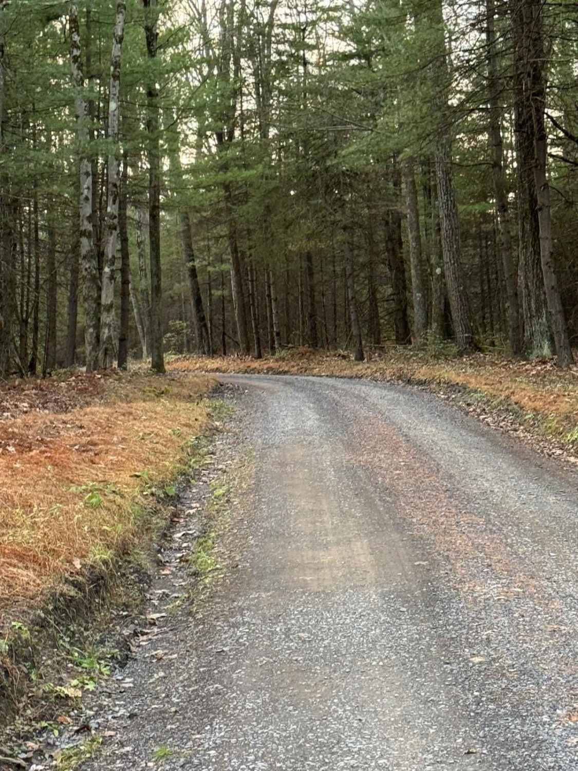 Hicks Road