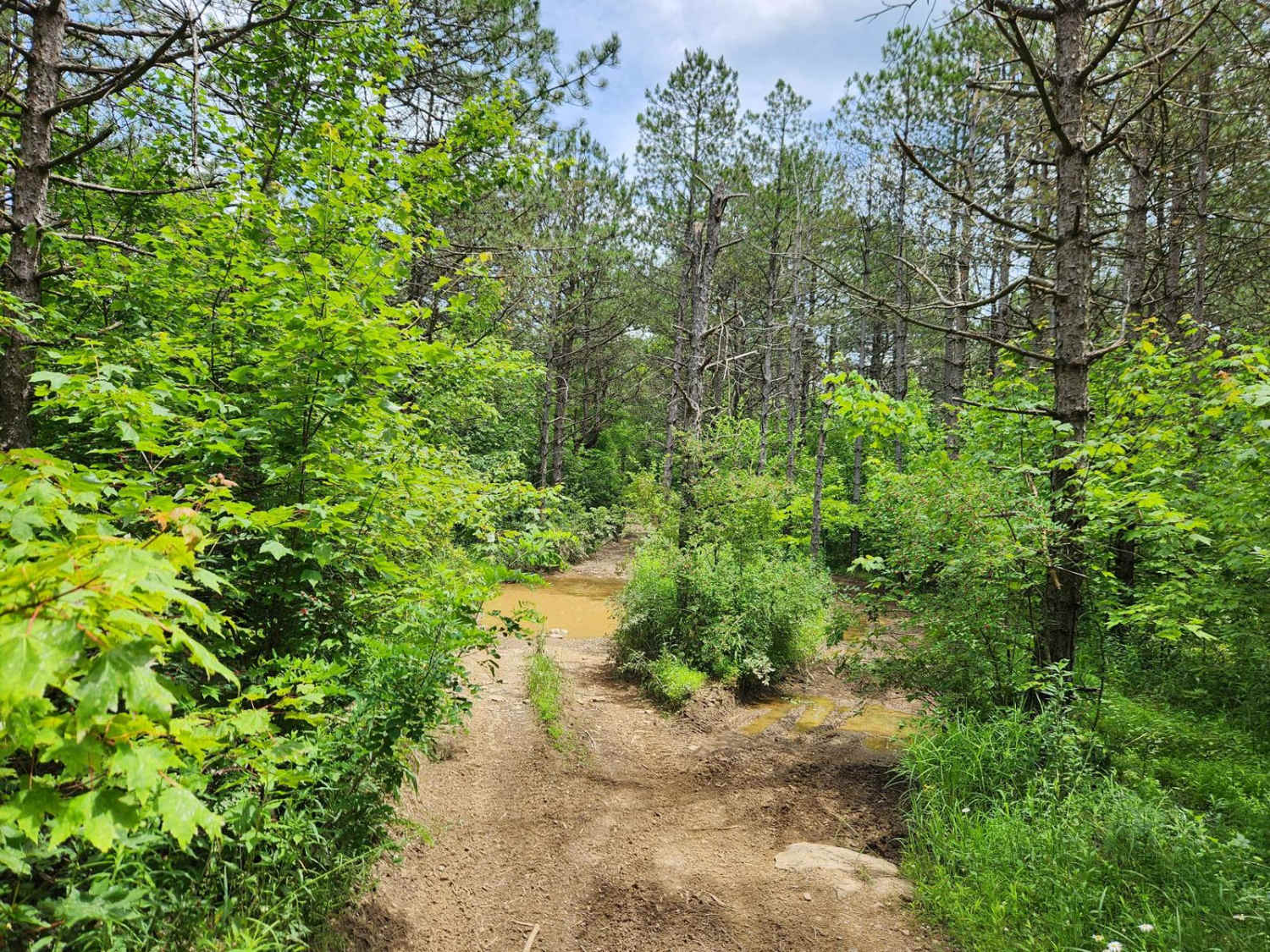 Trail 4 - Rock Run Recreation Area