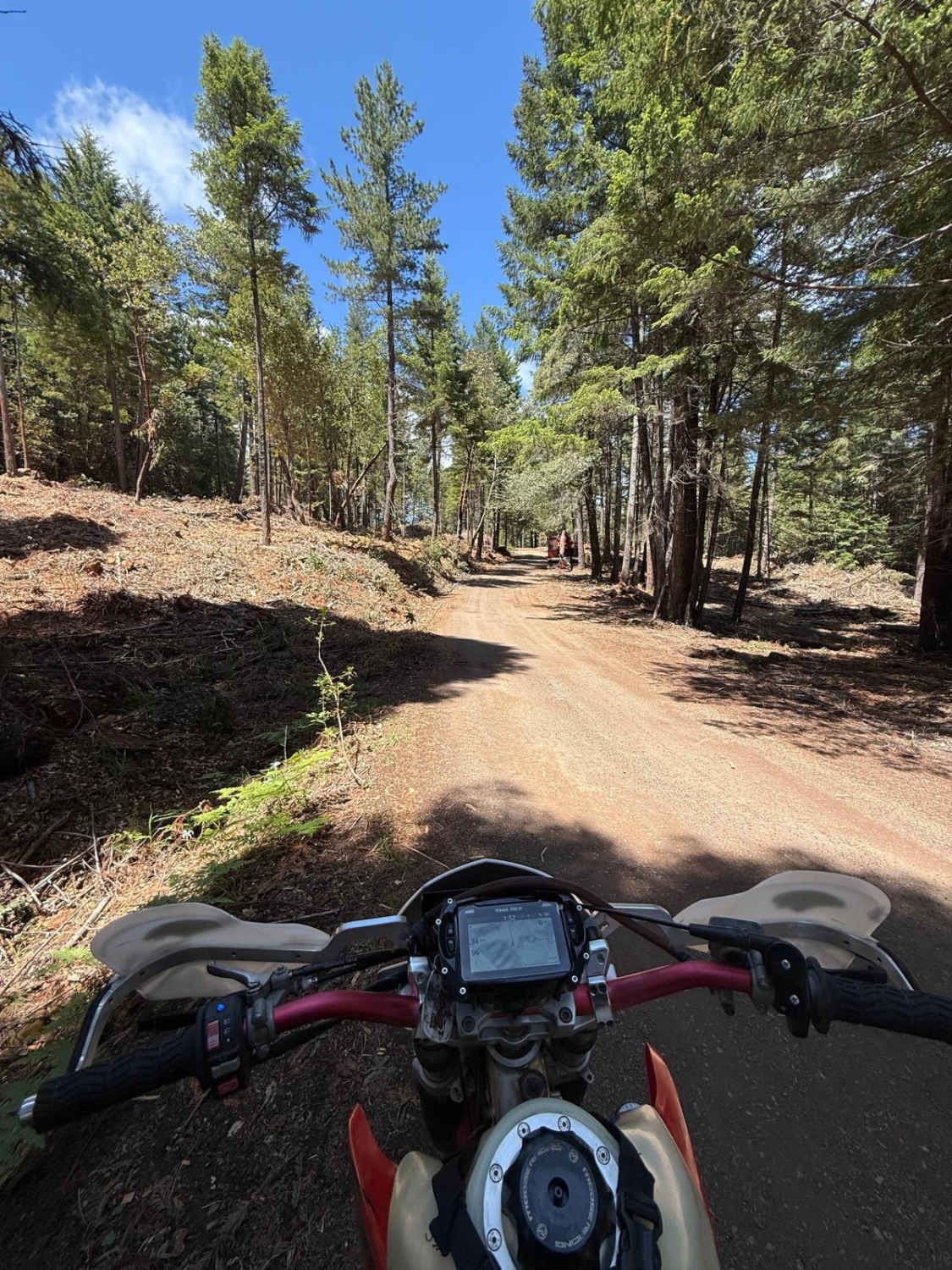 Fish Rock Road