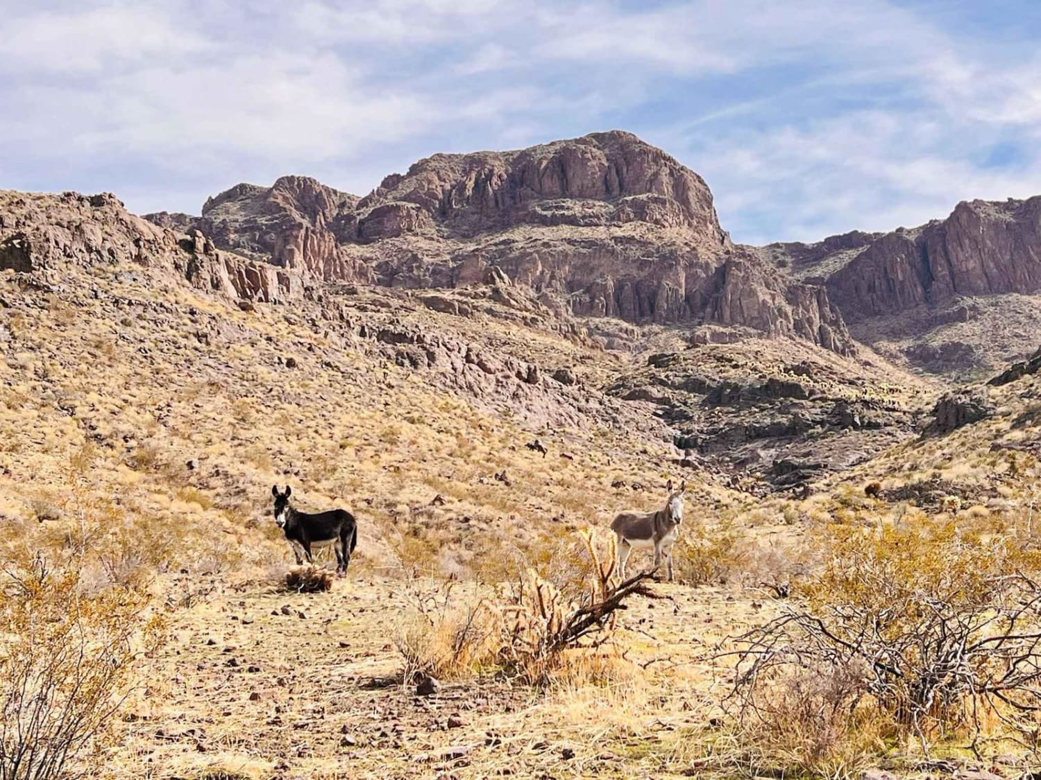 Hidden Valley from White Chief Mine