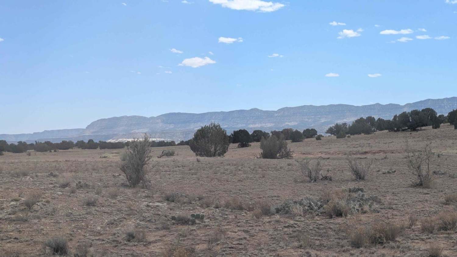 Big Spring/South Big Flat