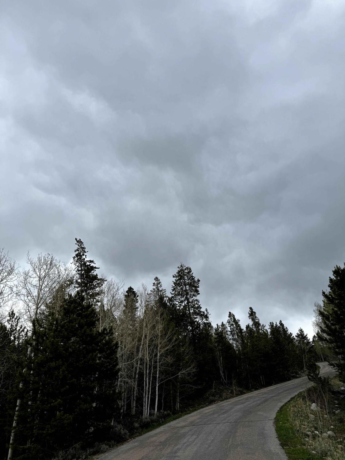 Lily Lake Road