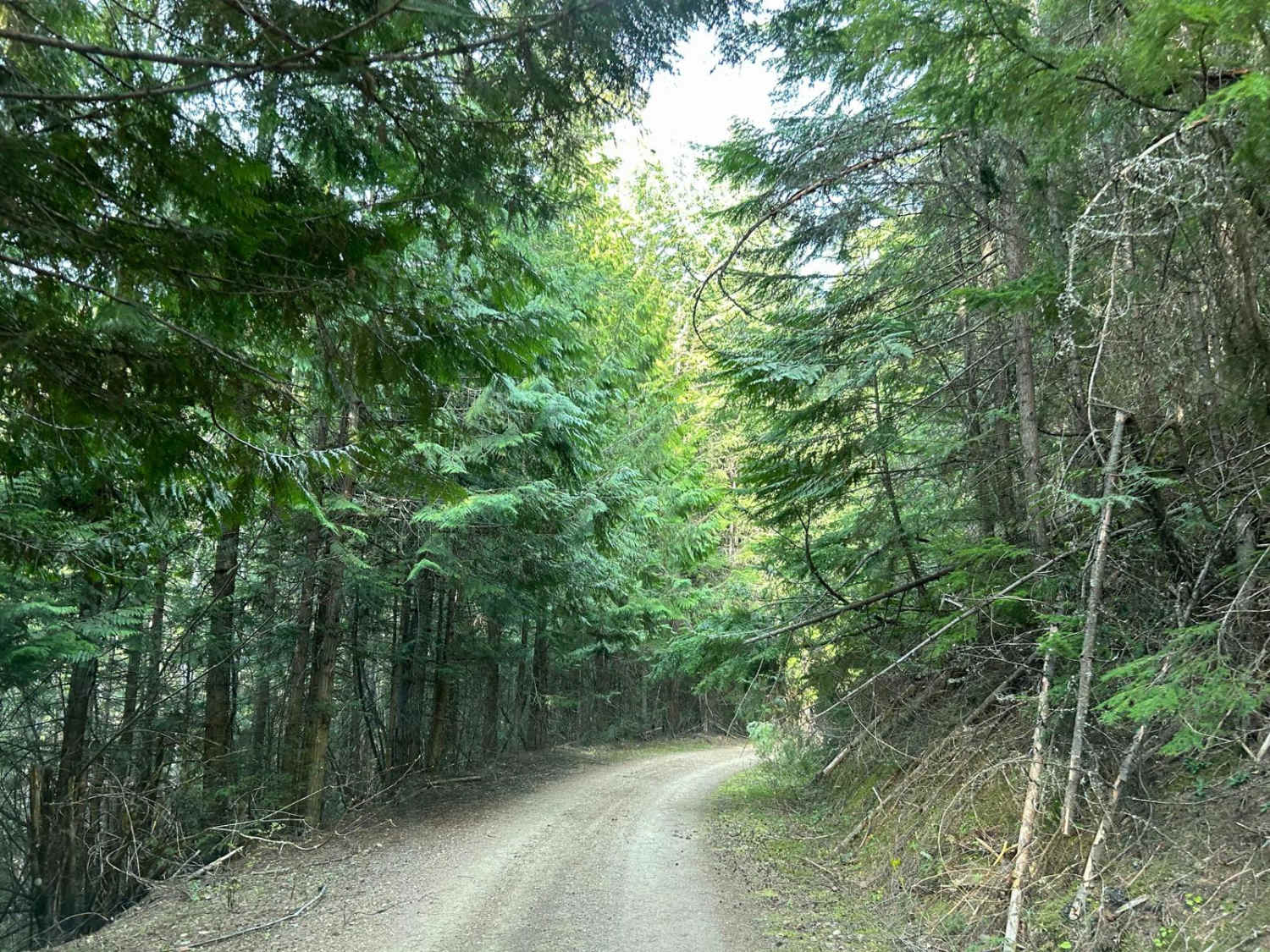 Carlin Creek/Carrill Ridge