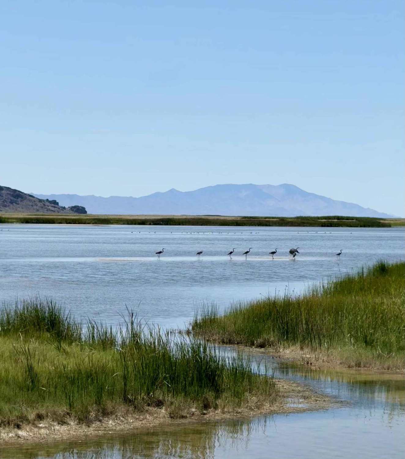 Fish Springs Auto Tour