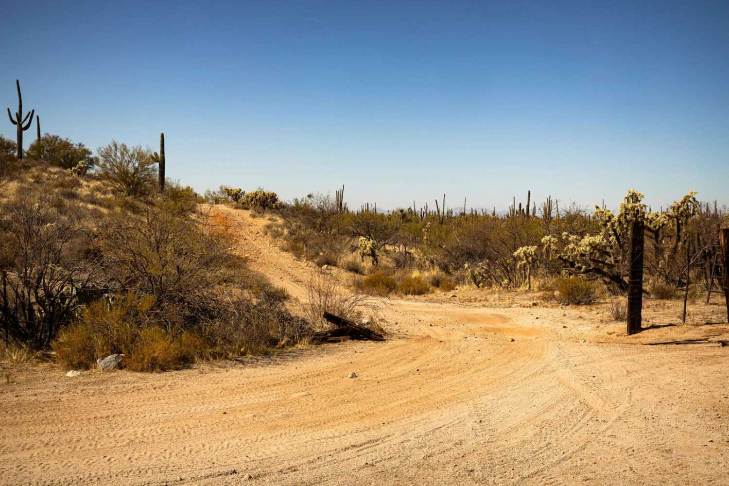 Paisano's Pathway