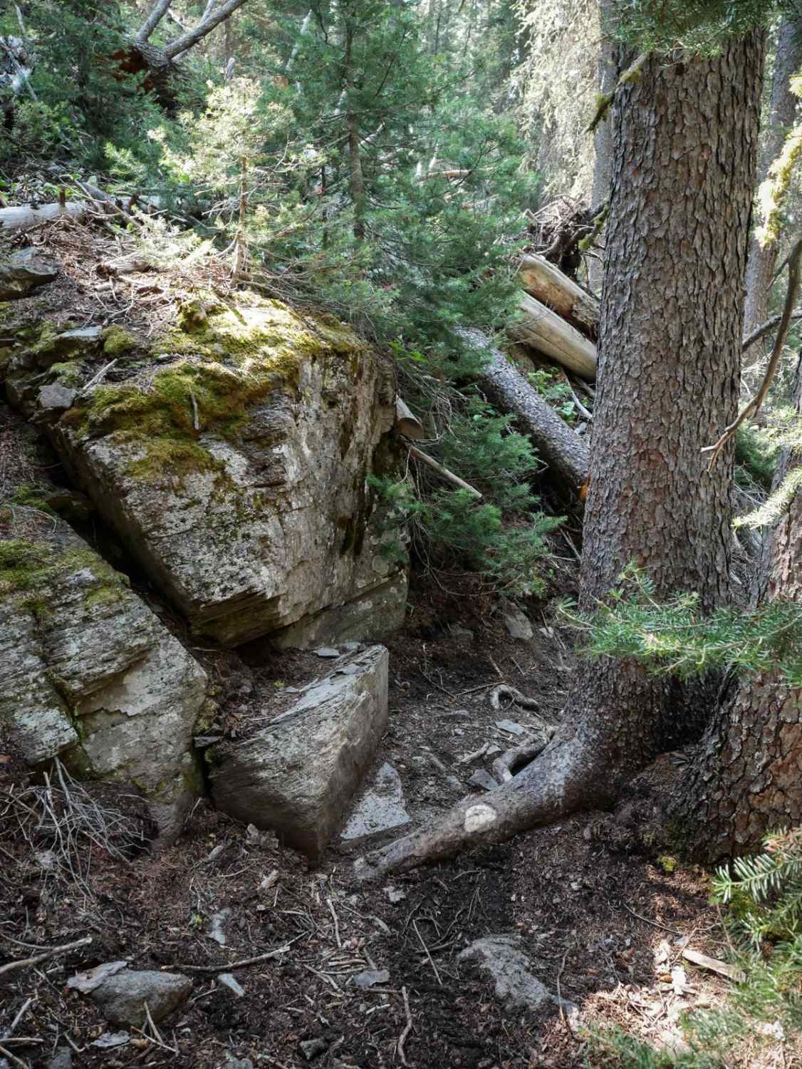 Eleven Mile - Martin Creek 