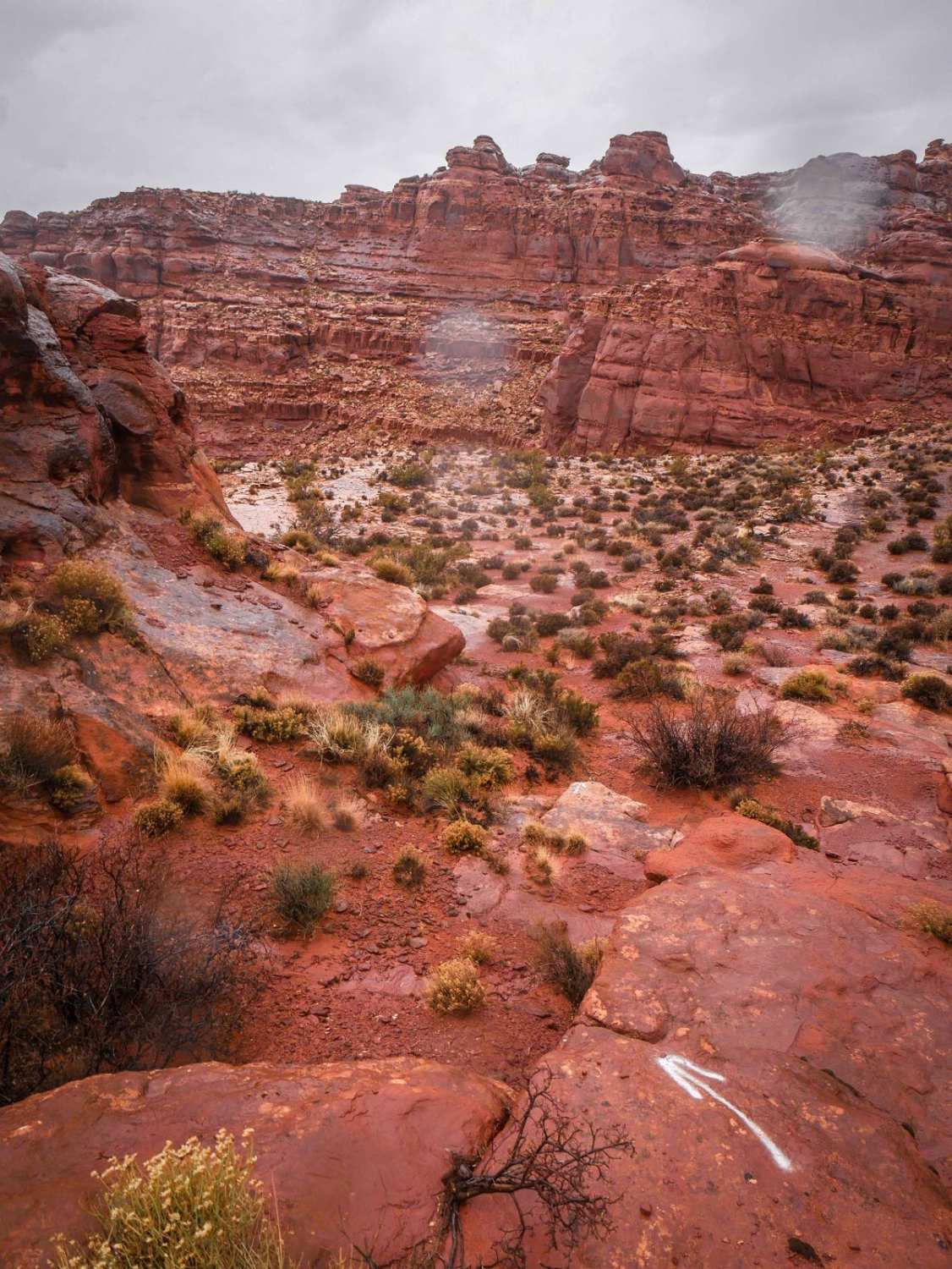 Rock Rim Single Track