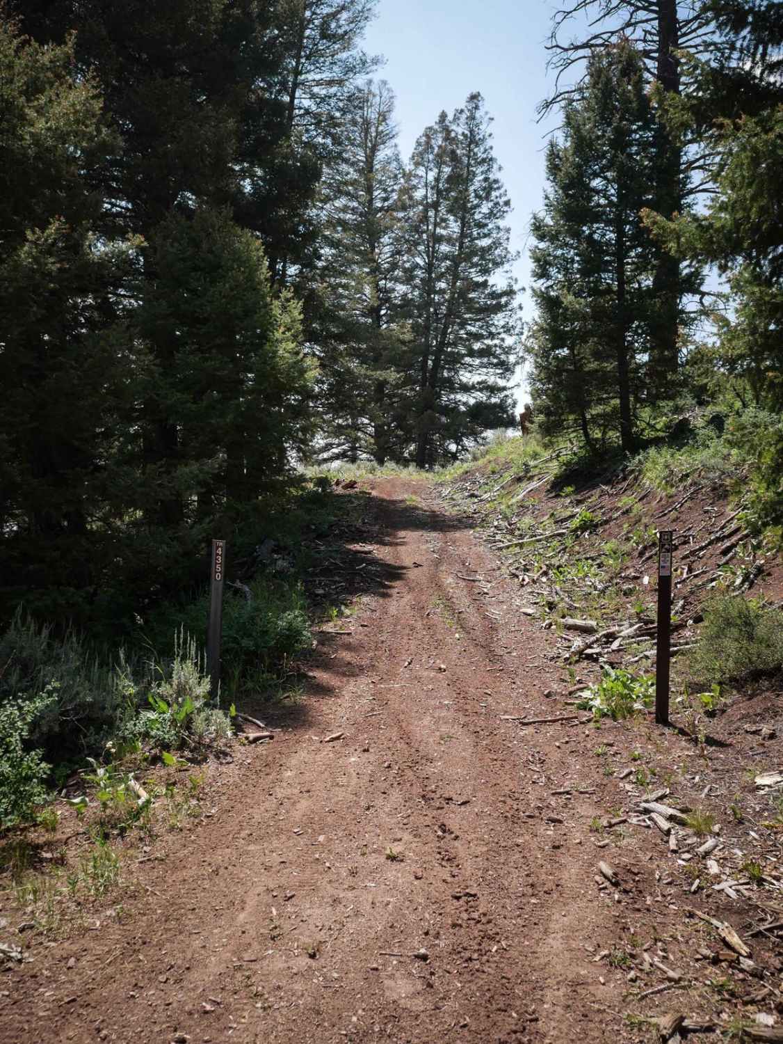 Leg Creek ATV 