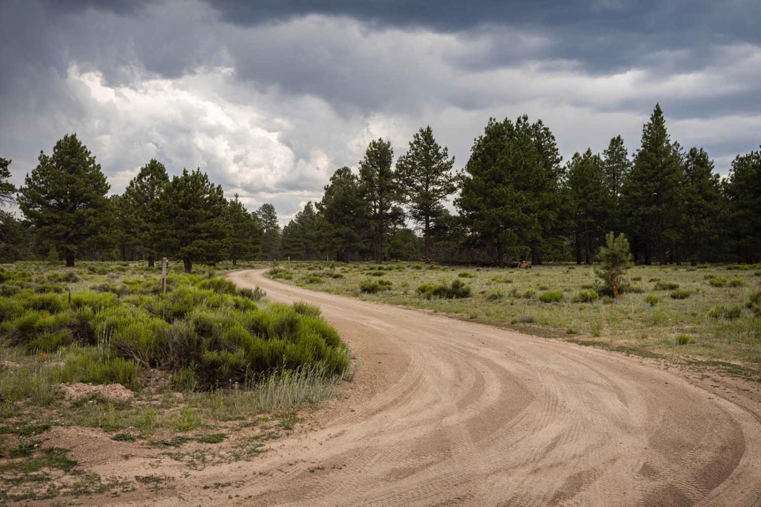 Beale's Wagon Road