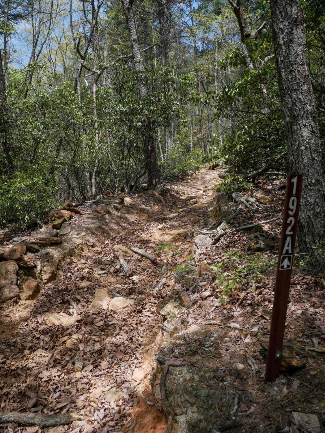 Rattlesnake Trail A