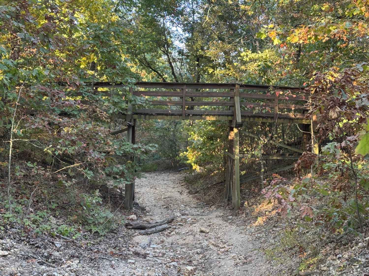 Lost Bridge Trail 43