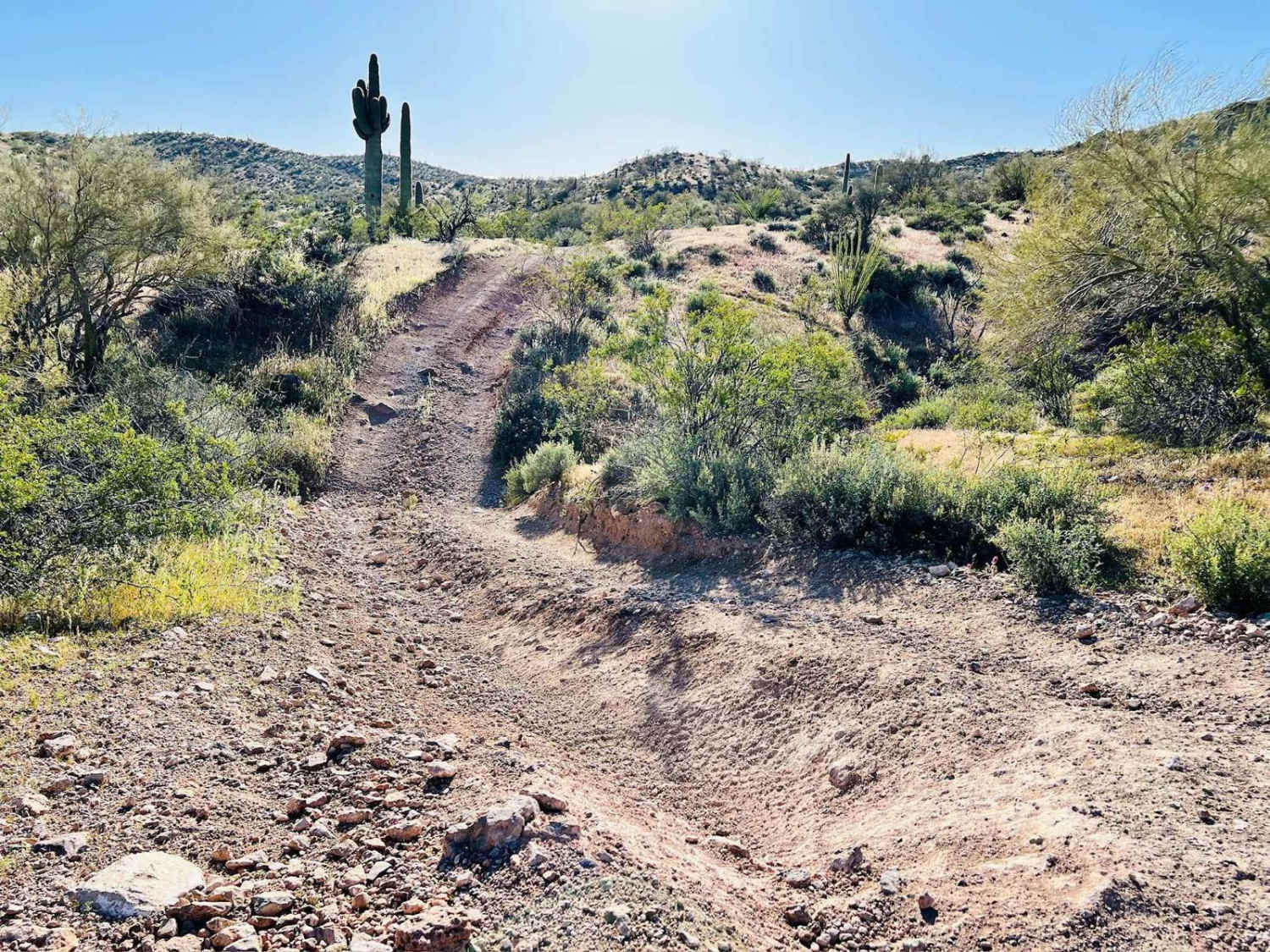 South Mariposa to Turtleback
