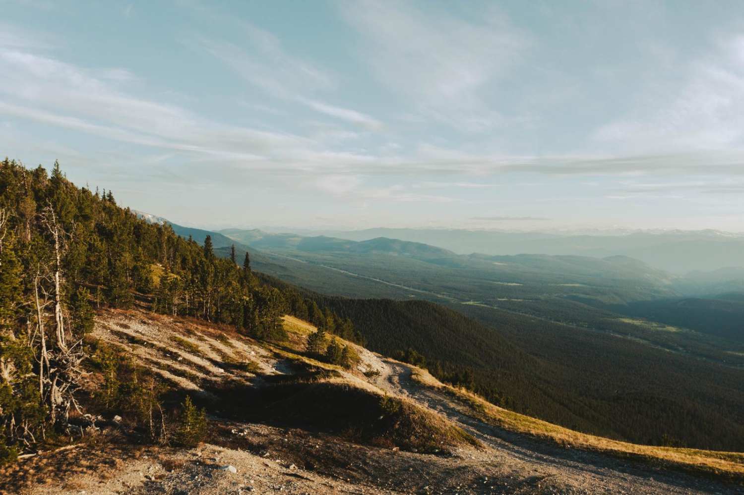 Jesmond Fire Lookout