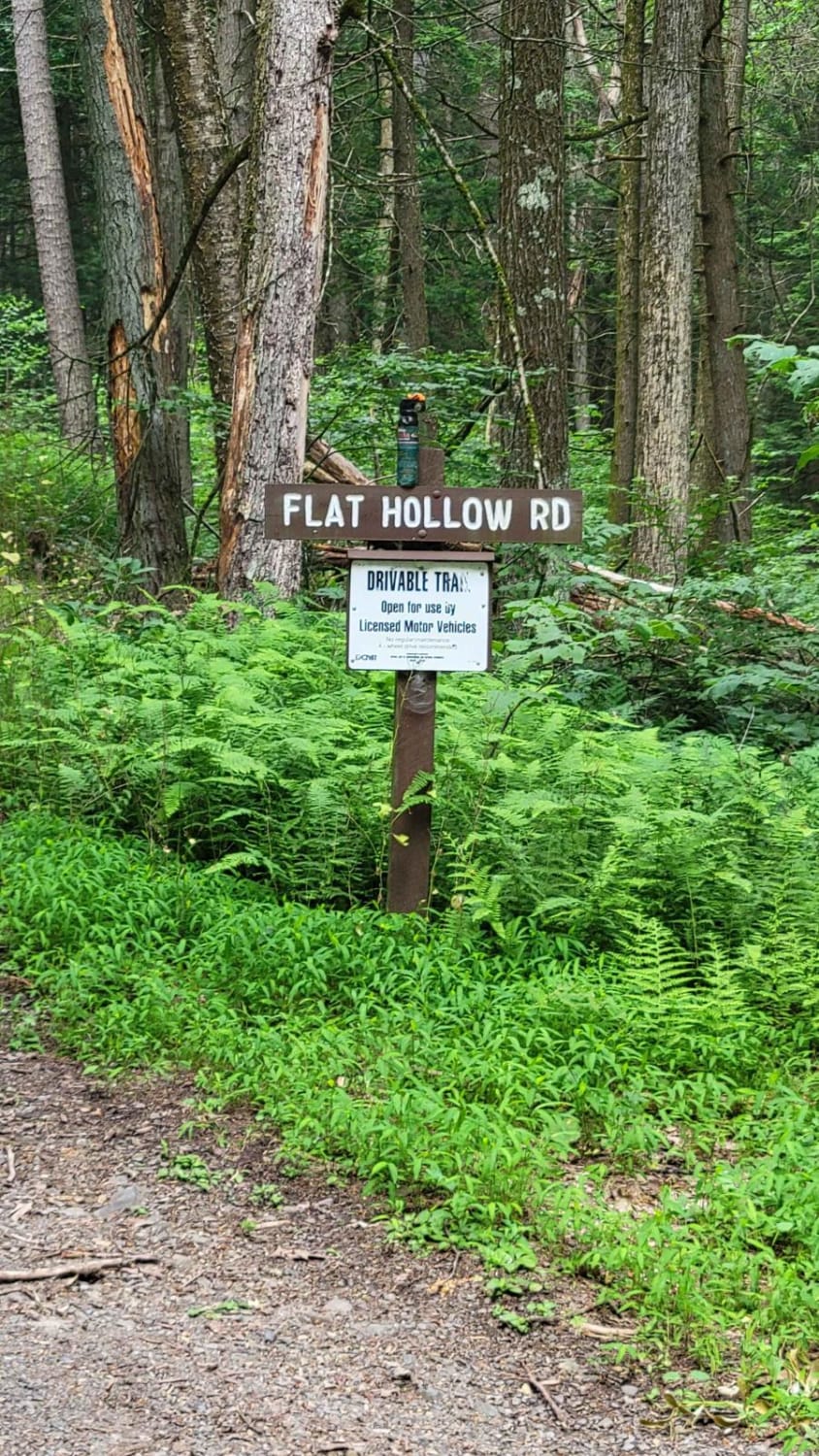 Flat Hollow