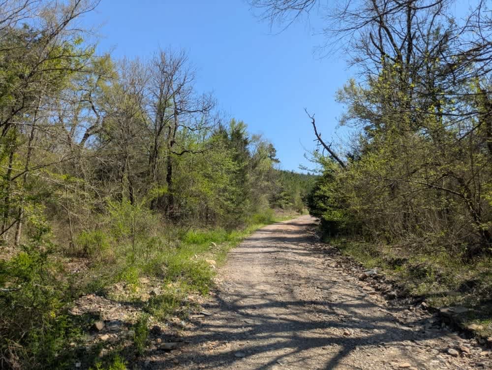 Ouachita National Forest Access Road
