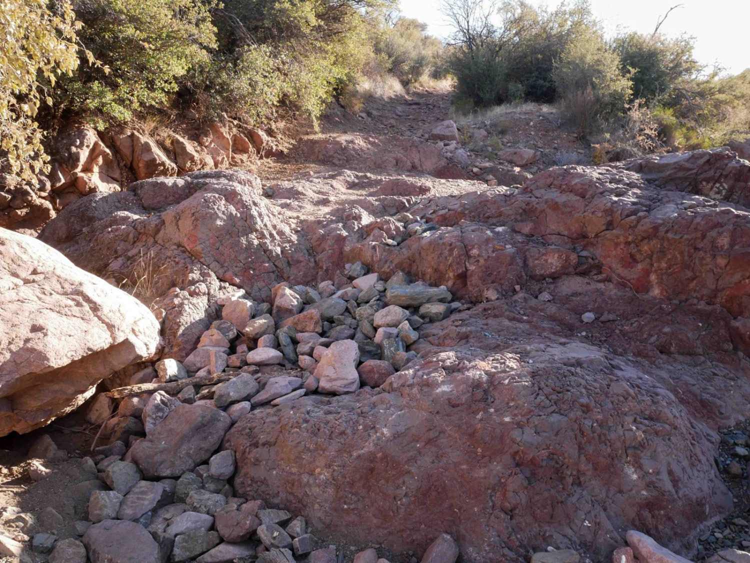 Ruby Wash 
