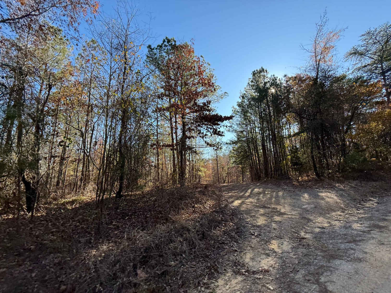 Hickory Grove Road - FS 255