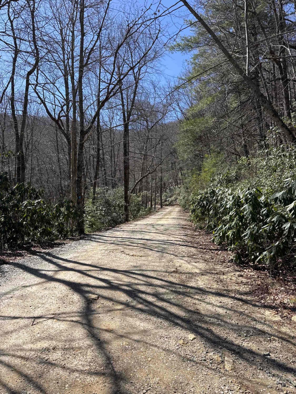 Indian Grave Gap - FR 283