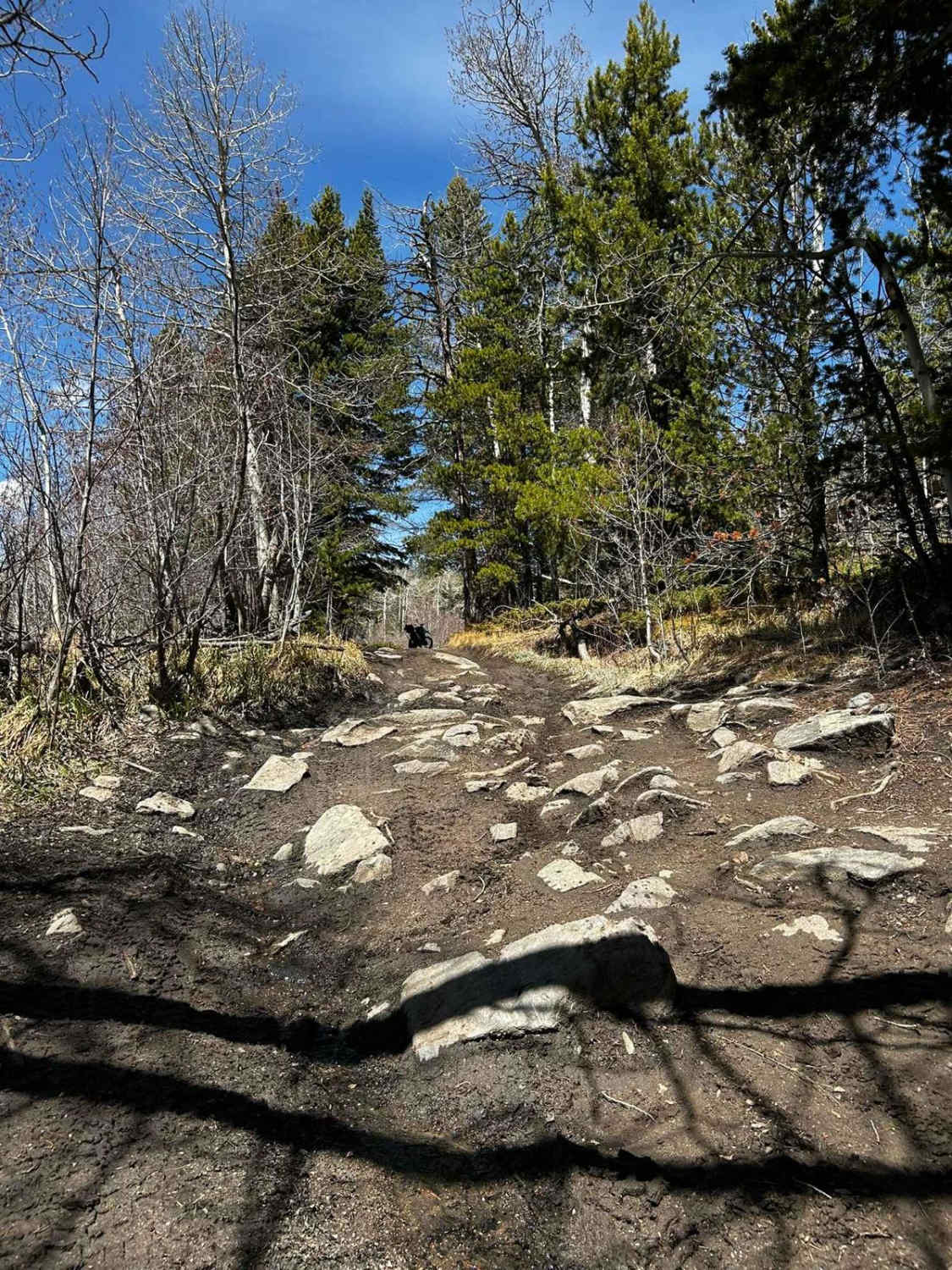 Pratt Creek Cutoff North