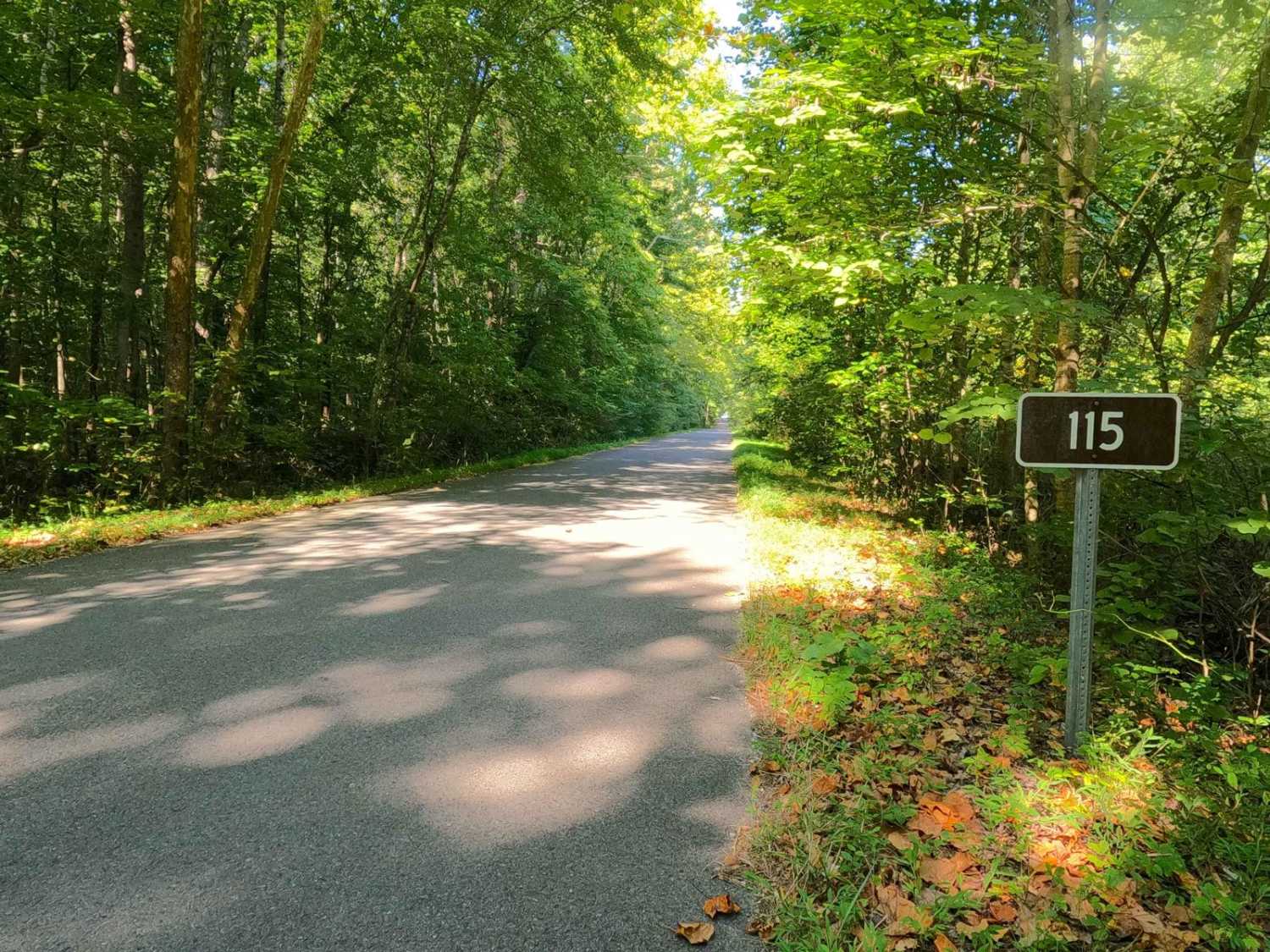 Yale Road - FS 115