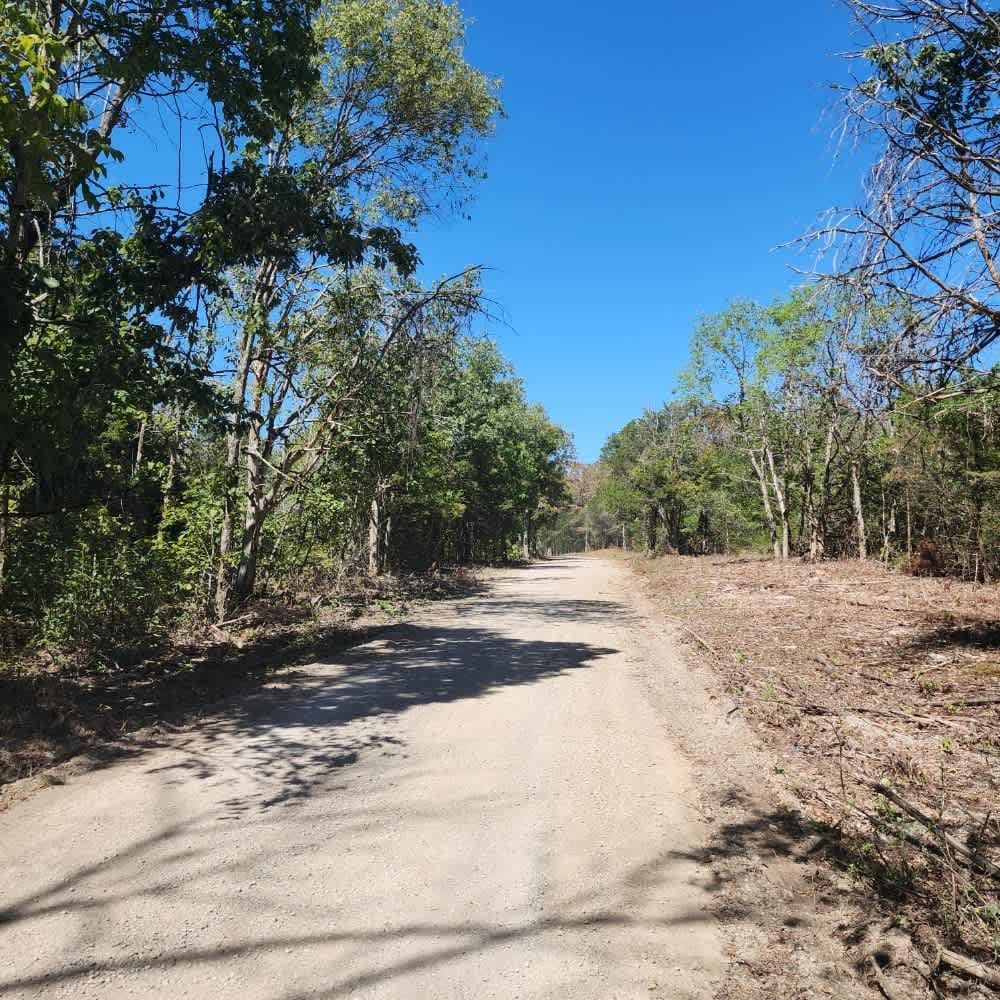 Cedar Forest Road