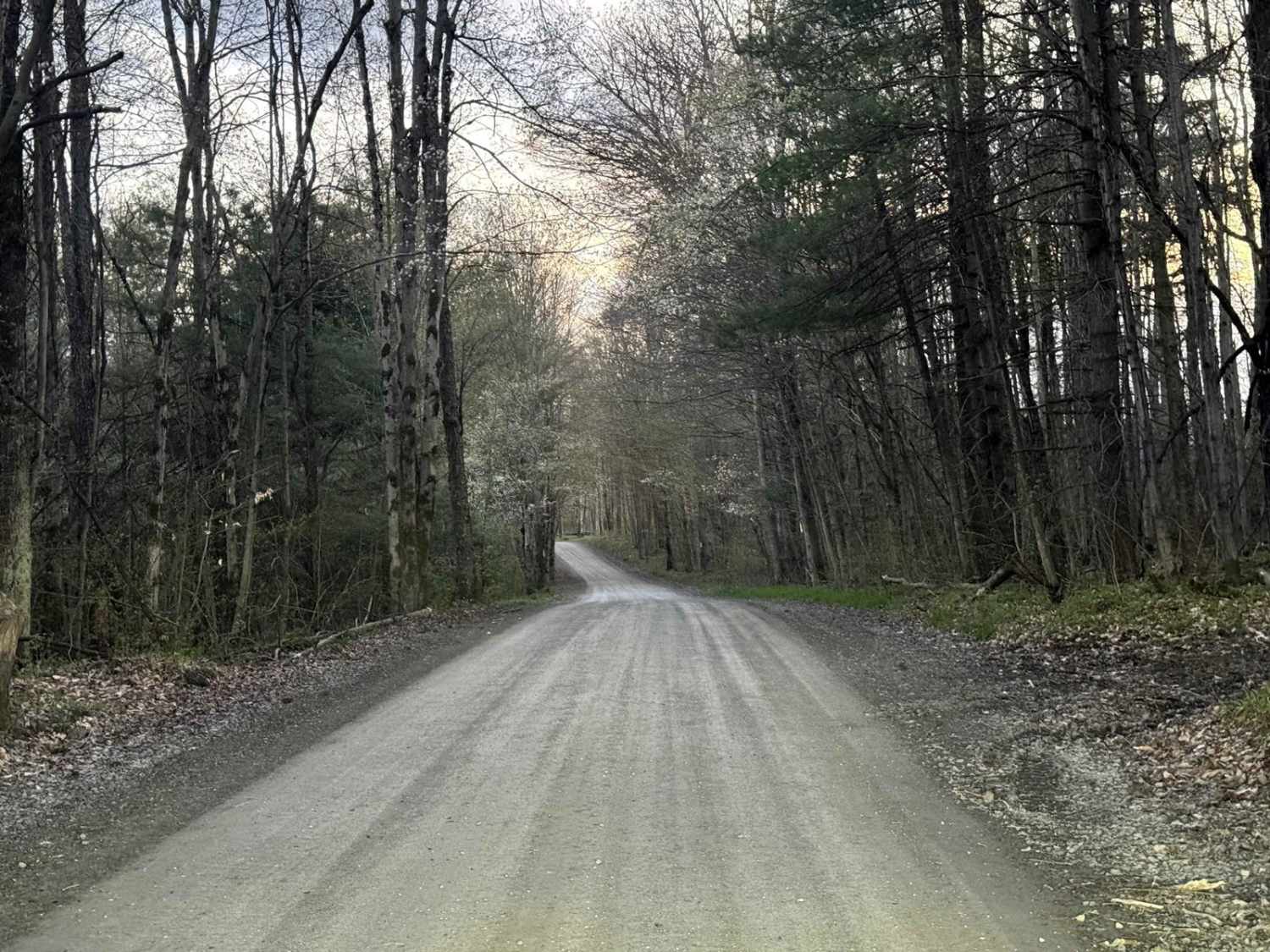 Mill Road